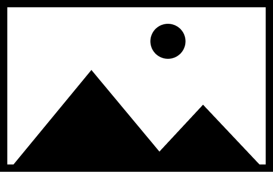 Imagen ampliada de la galería